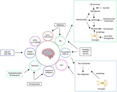 Promising candidates from drug clinical trials: Implications for clinical treatment of Alzheimer's disease in China